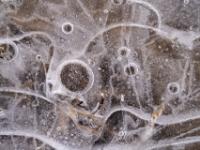 Kreisförmige und geschwungene Muster in Eisfläche